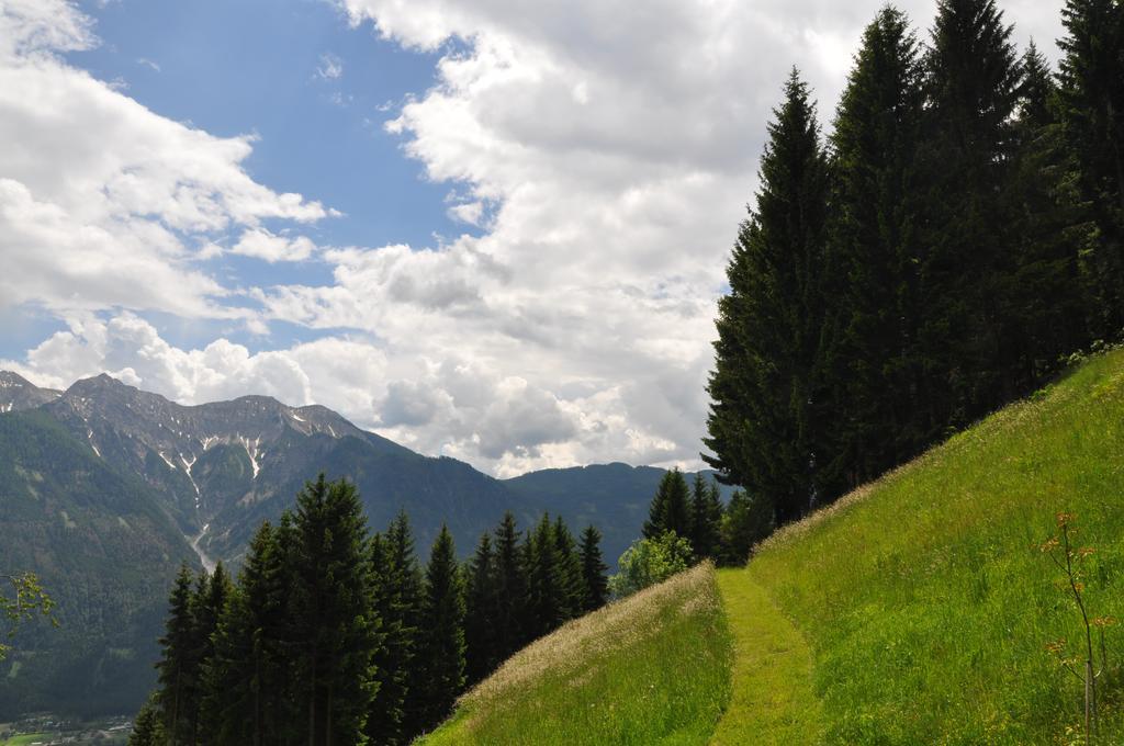Almen-Kraeuter-Oberreiter Apartment Dellach im Drautal Bagian luar foto