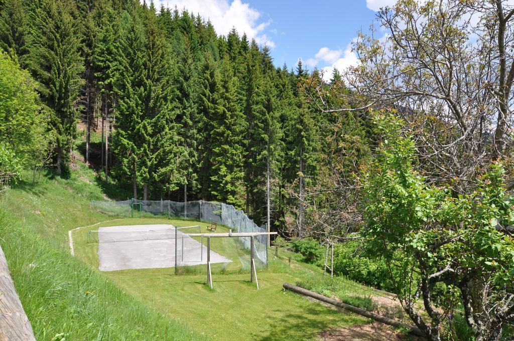Almen-Kraeuter-Oberreiter Apartment Dellach im Drautal Bagian luar foto